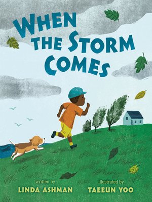 cover image of When the Storm Comes